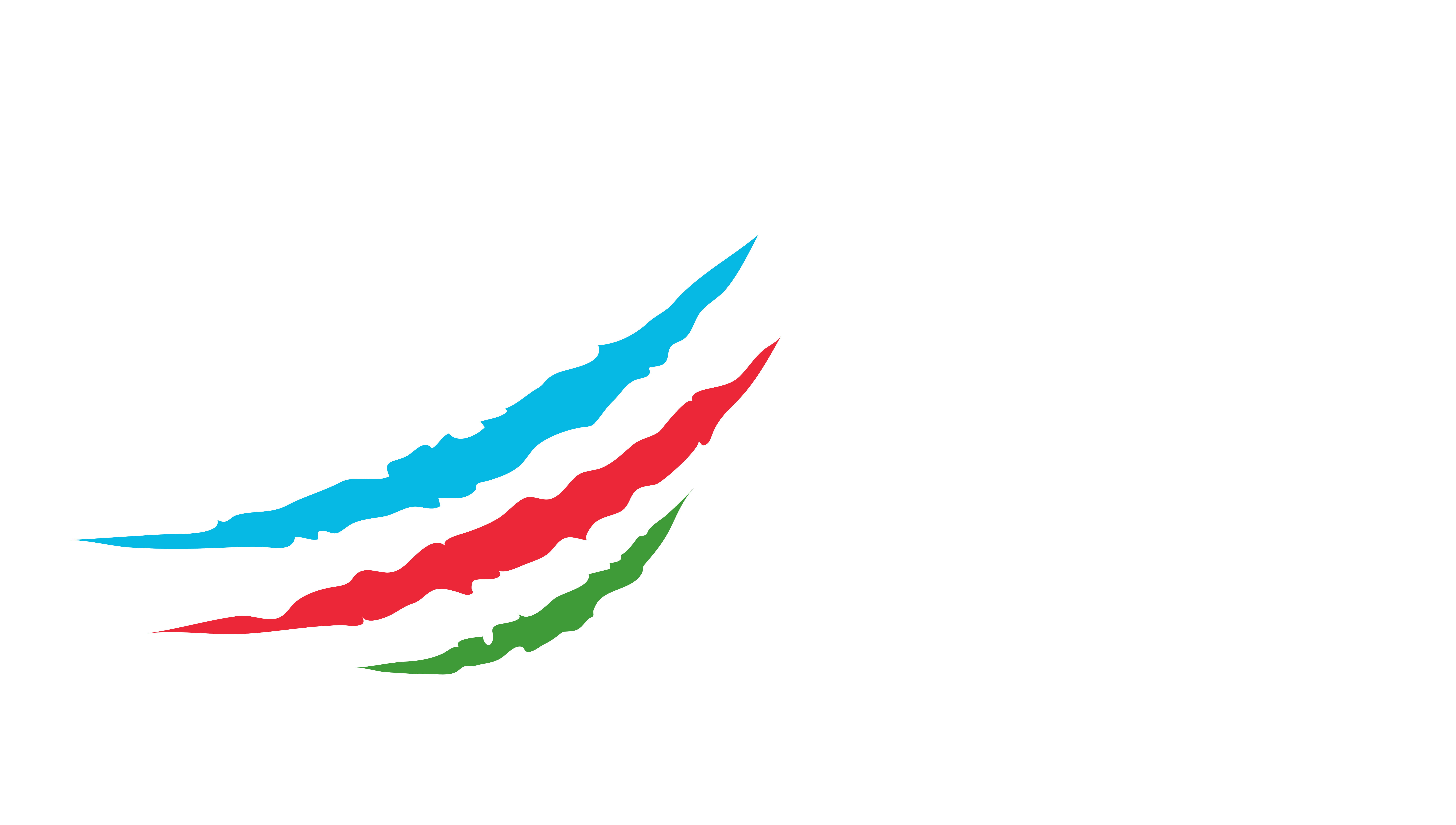 Türkçü Düşüncə Birliyi